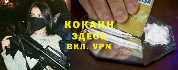 стафф Елизово