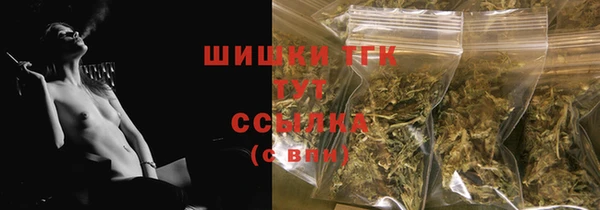 дмт Ельня