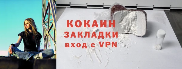 дмт Ельня