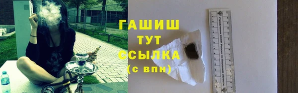 стафф Елизово