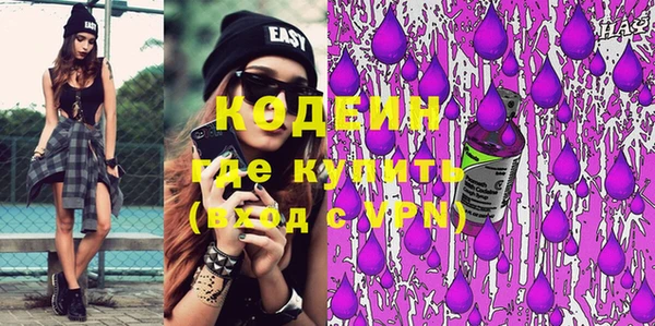 дмт Ельня