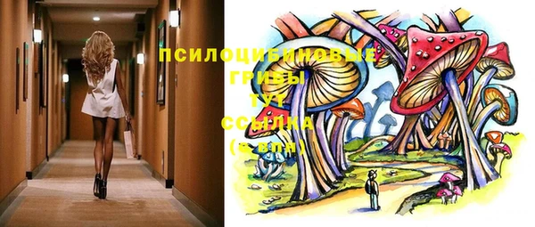 дмт Ельня
