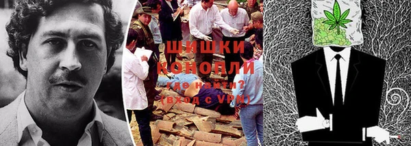дживик Елабуга