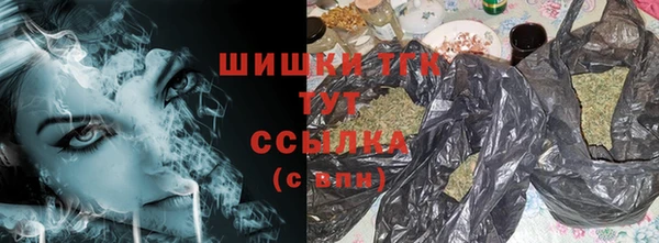 дживик Елабуга