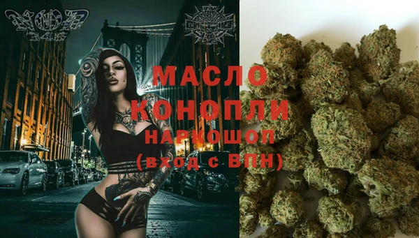 дмт Ельня