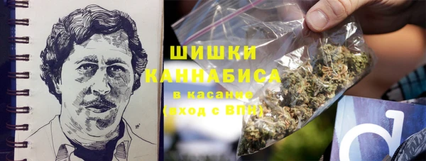 дживик Елабуга