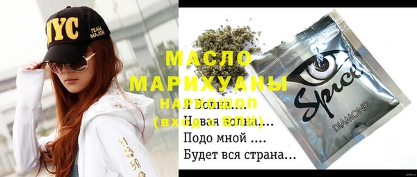 дживик Елабуга